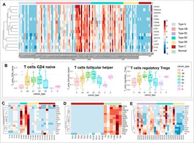 Identification of Immune-Related Hub Genes in Thymoma: Defects in CD247 and Characteristics of Paraneoplastic Syndrome